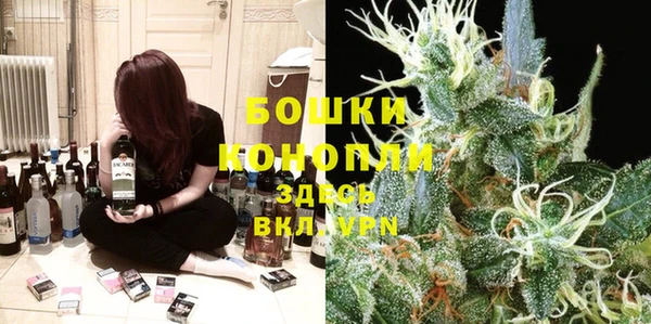 мяу мяу мука Кодинск
