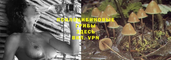 MESCALINE Козельск