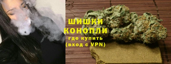 мдпв Киселёвск