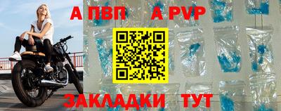 spice Гатчина